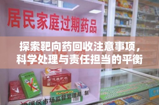 荆州探索靶向药回收注意事项，科学处理与责任担当的平衡点