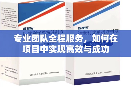 荆州专业团队全程服务，如何在项目中实现高效与成功