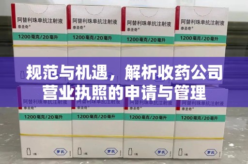 荆州规范与机遇，解析收药公司营业执照的申请与管理