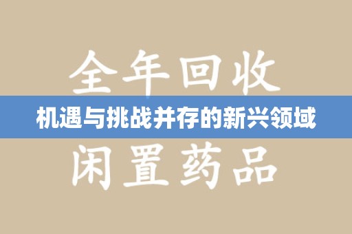 荆州机遇与挑战并存的新兴领域