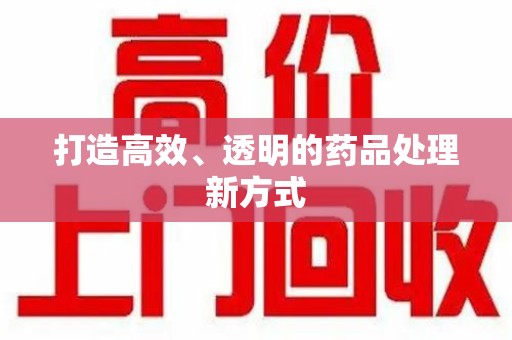 荆州打造高效、透明的药品处理新方式