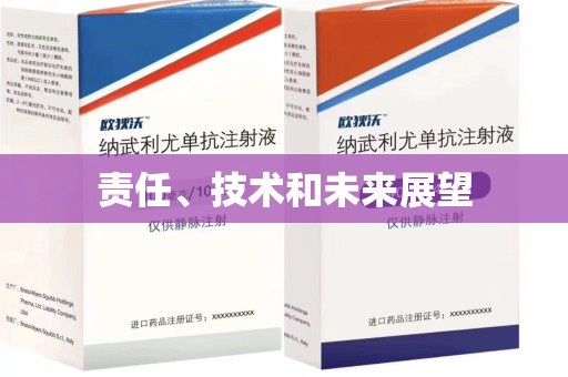 荆州责任、技术和未来展望