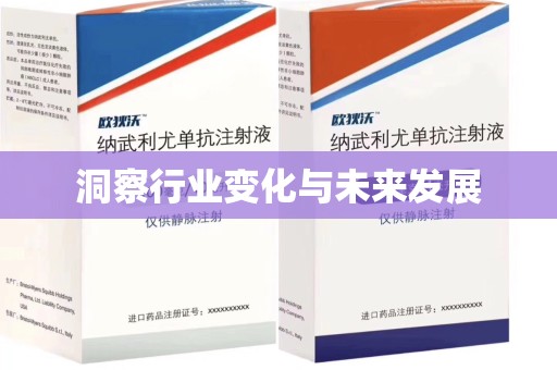 荆州洞察行业变化与未来发展