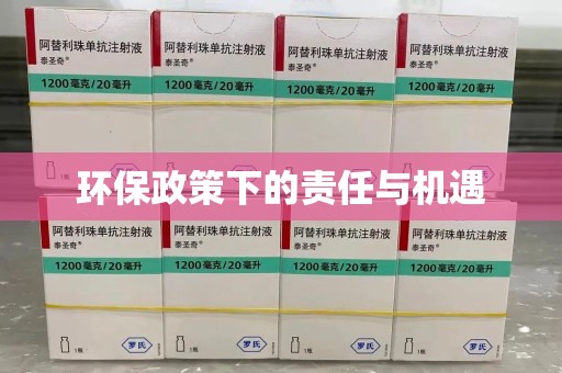 荆州环保政策下的责任与机遇