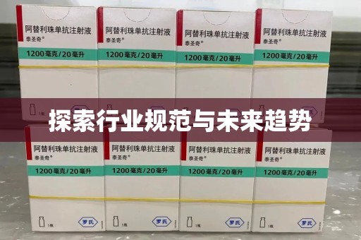 荆州探索行业规范与未来趋势