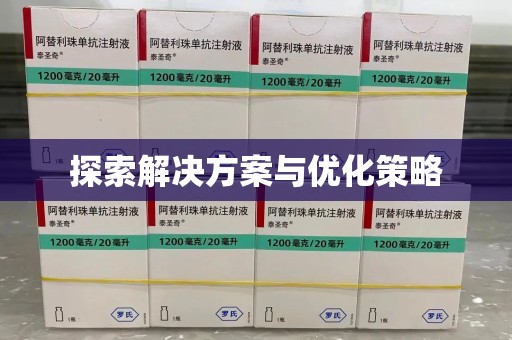 荆州探索解决方案与优化策略