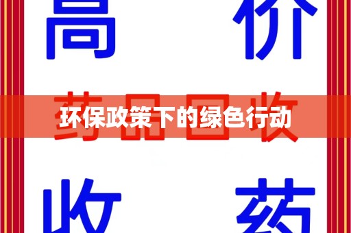 荆州环保政策下的绿色行动