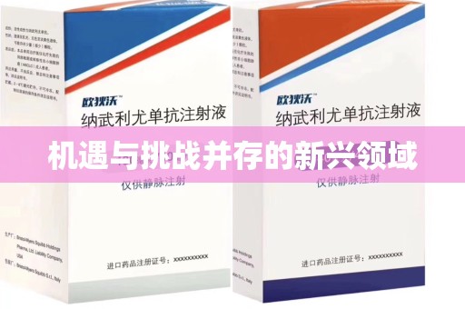 荆州机遇与挑战并存的新兴领域